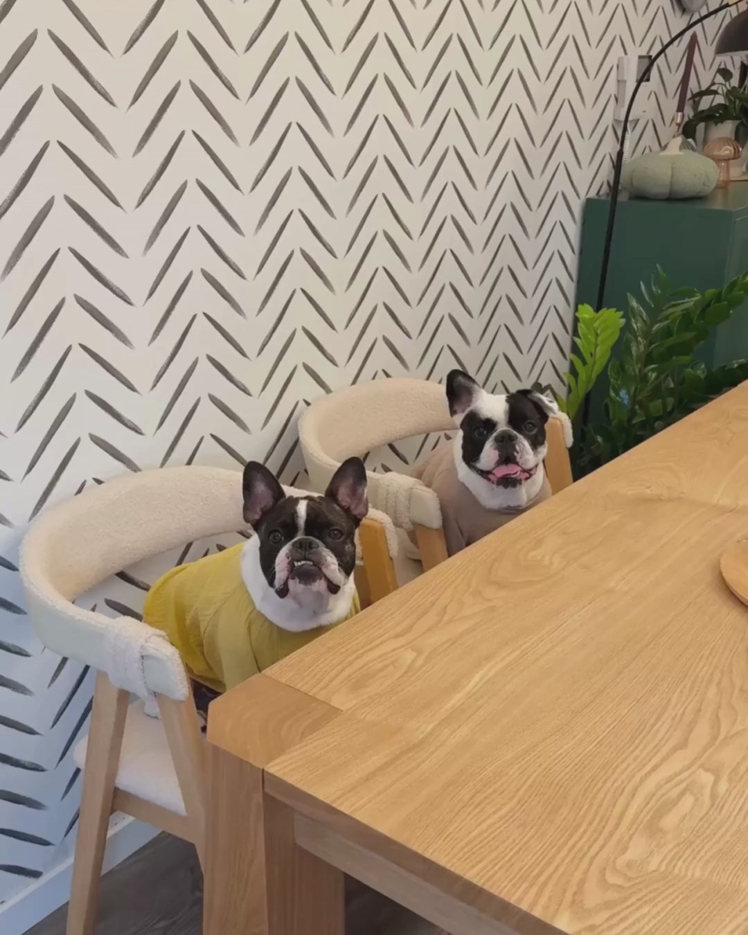 伝統的スタイル ダイニングチェア 2脚セット