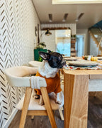 伝統的スタイル ダイニングチェア 2脚セット