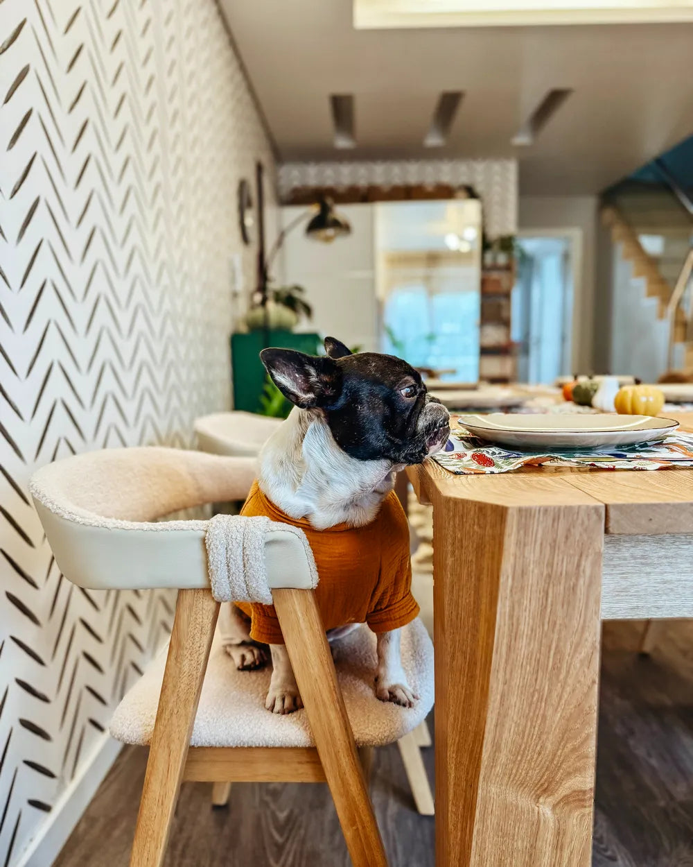 伝統的スタイル ダイニングチェア 2脚セット