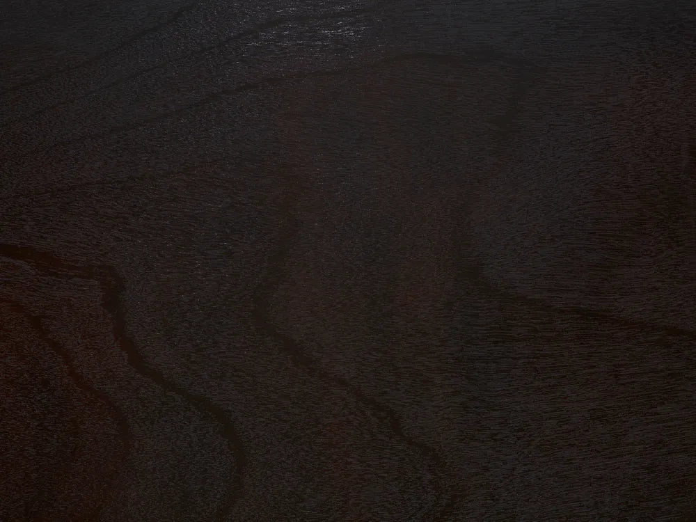 FOSTER フォスター コーヒーテーブル 2段式 収納棚付き MDF製 ブラック