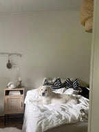 PASCO パスコ ナイトテーブル ラタン扉付き ウィッカーフロント ライトブラウン メタル脚