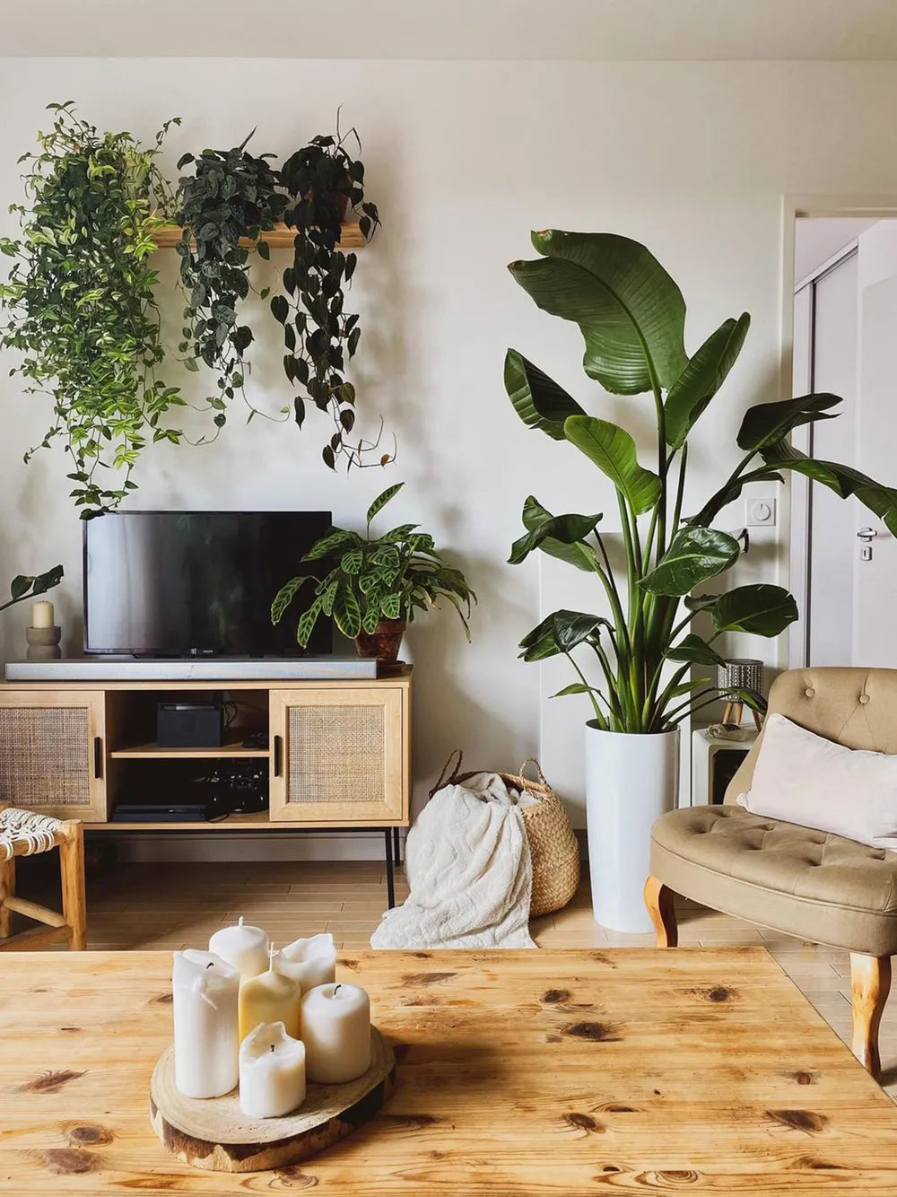 PASCO テレビボード ライトブラウン ラタン調扉 TVキャビネット 幅120cm ～55型対応