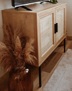 PASCO キャビネット ライトブラウン 2枚扉 ラタン調扉 木目調 ブラックメタル脚