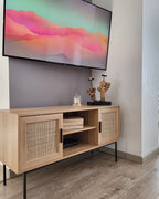 PASCO テレビボード ライトブラウン ラタン調扉 TVキャビネット 幅120cm ～55型対応