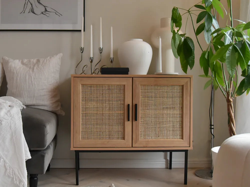 PASCO キャビネット ライトブラウン 2枚扉 ラタン調扉 木目調 ブラックメタル脚