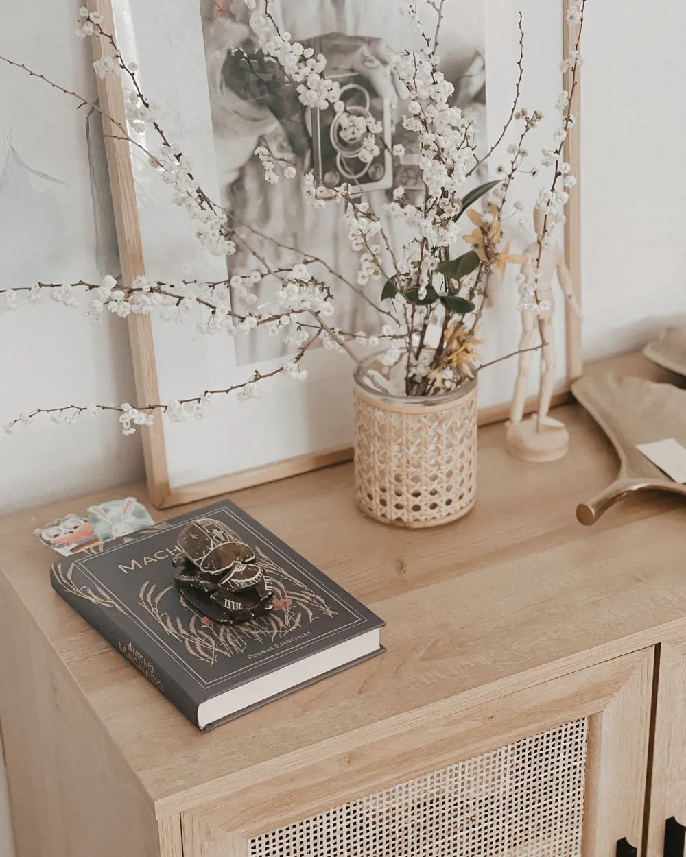 PASCO キャビネット ライトブラウン 2枚扉 ラタン調扉 木目調 ブラックメタル脚