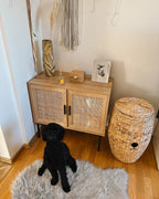 PASCO キャビネット ライトブラウン 2枚扉 ラタン調扉 木目調 ブラックメタル脚