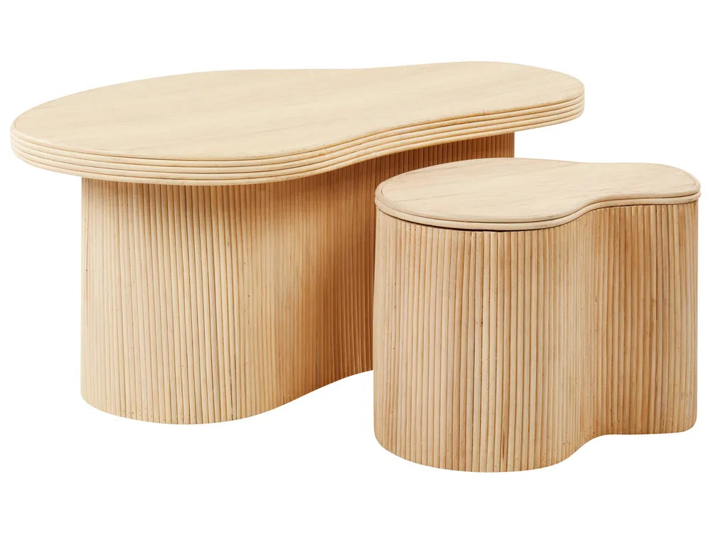 SALANTI サランティ コーヒーテーブル 2点セット ナチュラルラタン収納 ネストテーブル 不規則形 100×72×45cm・50×37×38cm